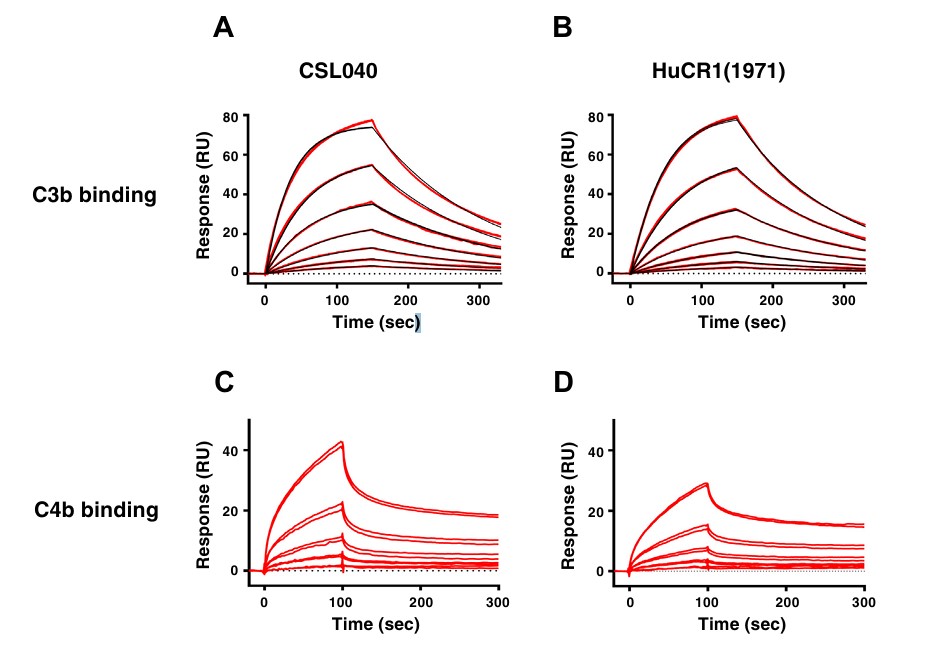 Comparative affinity of CSL040 and CR1 to human C3b and C4b.