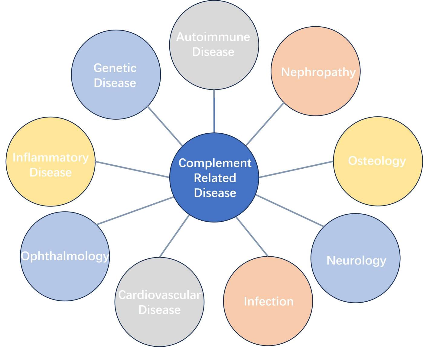 Fig 1. Complement system related diseases diagram. （Creative Biolabs Original)