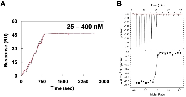 High-affinity interaction between CFH18-20 and VHH4.