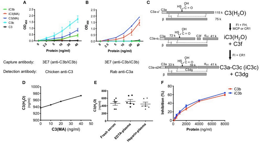 Specificity of the C3(H2O) ELISA.