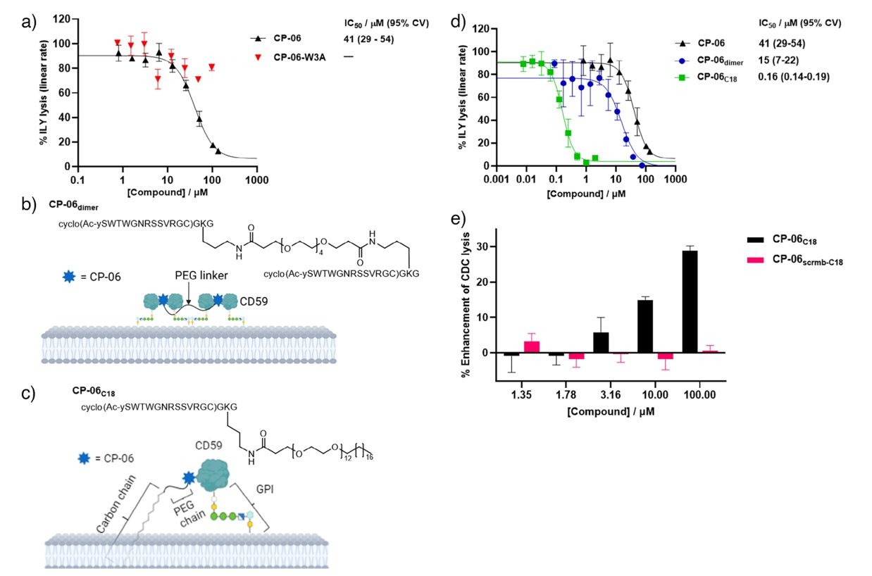Fig 2. Schematic of CP-06 peptide and optimized analogues control CD59 activity in cellular assays. (OA Literature)