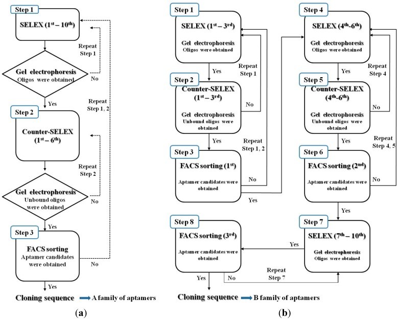 Fig.2 Schematic diagram of the basic whole-cell SELEX procedures and the modified whole-cell SELEX process. (OA Literature)