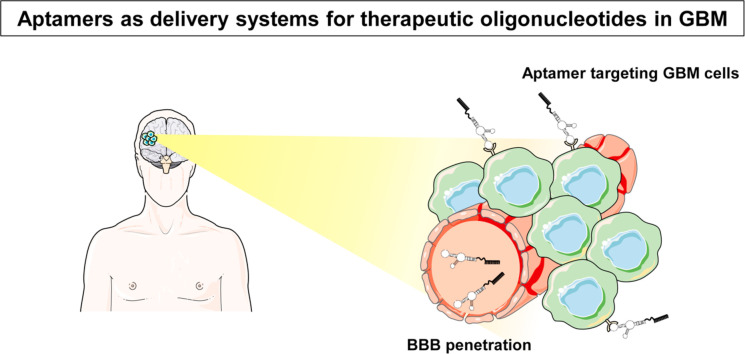 Fig.2 Schematic of aptamers as delivery systems for therapeutic oligonucleotides in GBM. (OA Literature)
