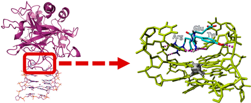 ApDC structure,(OA Literature)