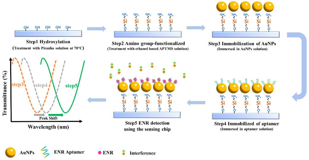 Schematic of the construction of the LSPR aptamer sensing chip and spectral changes corresponding to each step. (OA Literature)