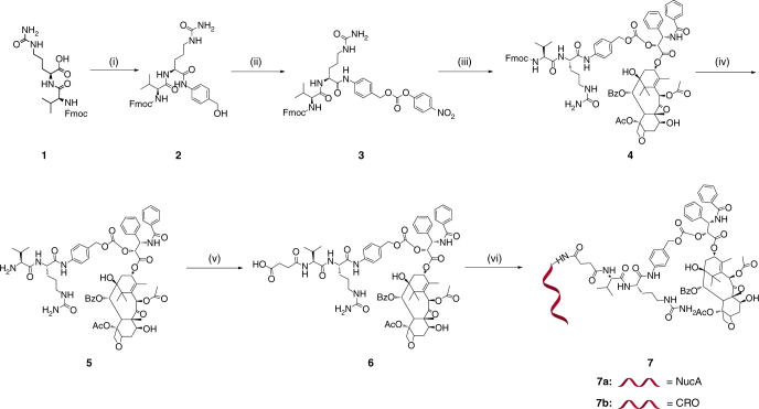 Fig.2 Schematic of synthesis of aptamer-paclitaxel conjugates. (OA Literature)