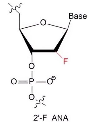 Chemical structures of the 2′-F-modified aptamer. (OA Literature)
