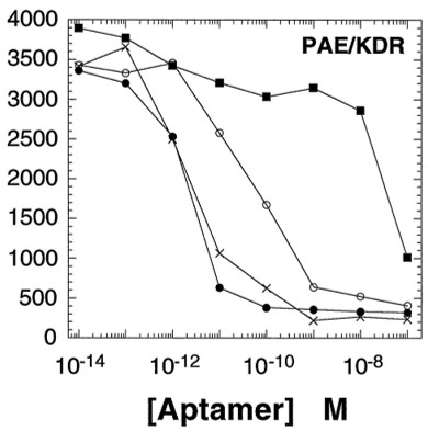 VEGF receptor binding inhibition in PAE/KDR cells by aptamer. (OA Literature)