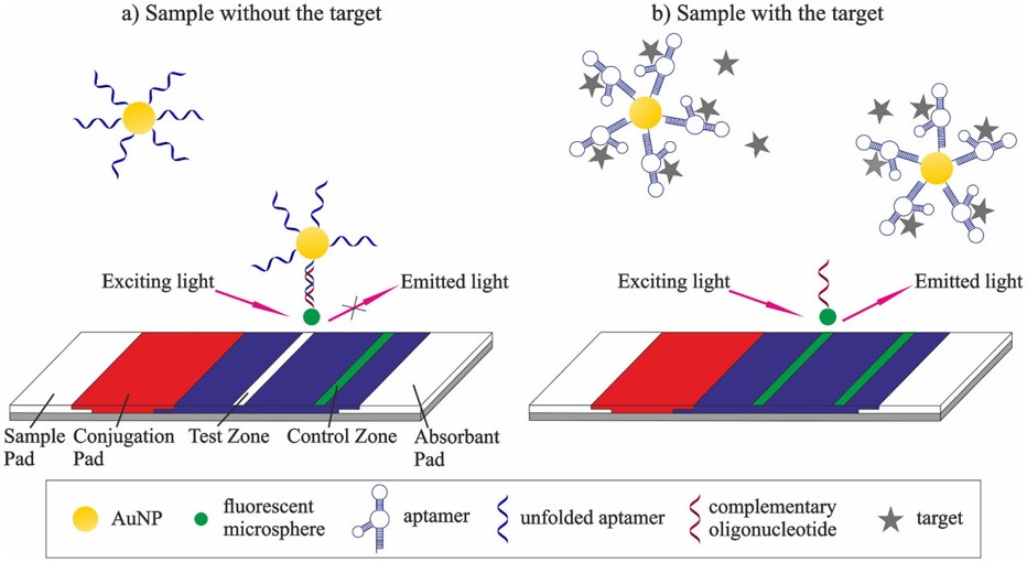 The principle of the aptamer-based fluorescence quenching LFA. (OA Literature)