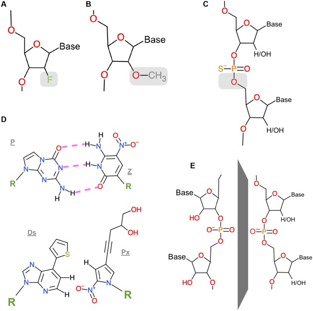 Examples of aptamer modifications. (OA Literature)