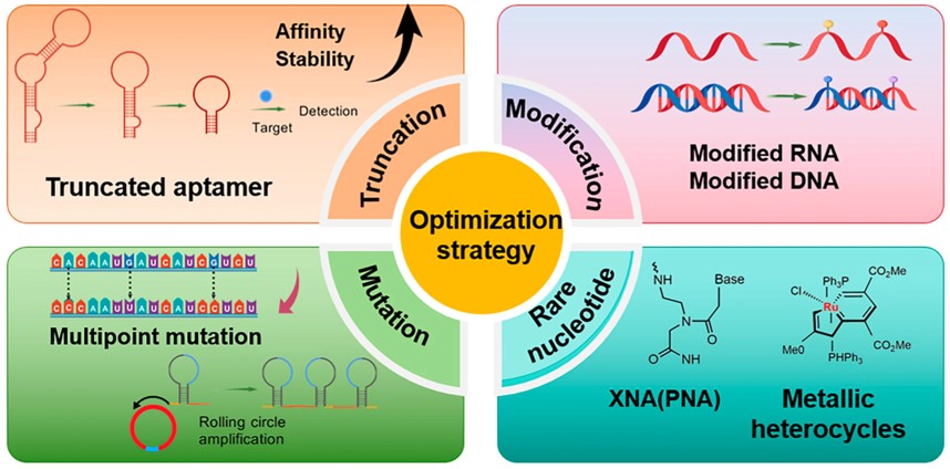 Overview of aptamer sequence optimization strategies. (OA Literature)