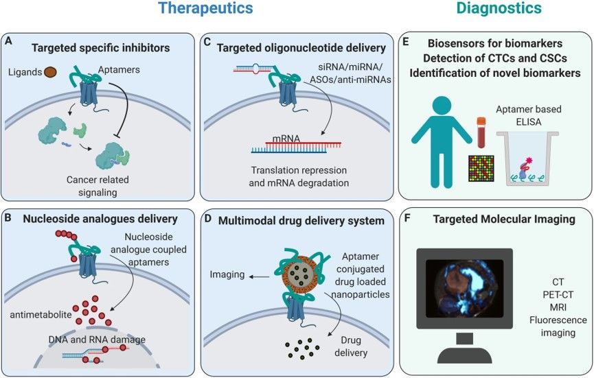 Application areas of aptamers. (OA Literature)