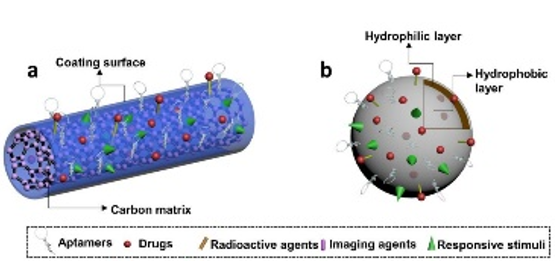Some diagrams of the aptamer-oligonucleotide conjugates.