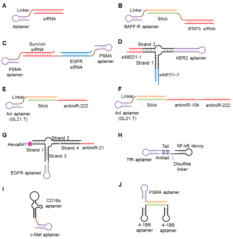 Some diagrams of the aptamer-oligonucleotide conjugates.