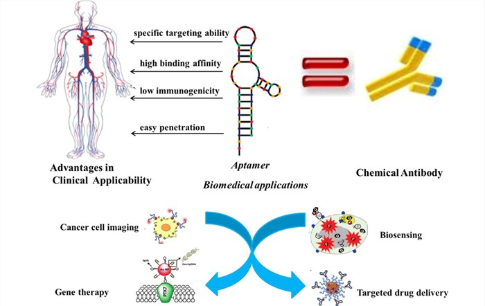 advantages of aptamers and their related applications.