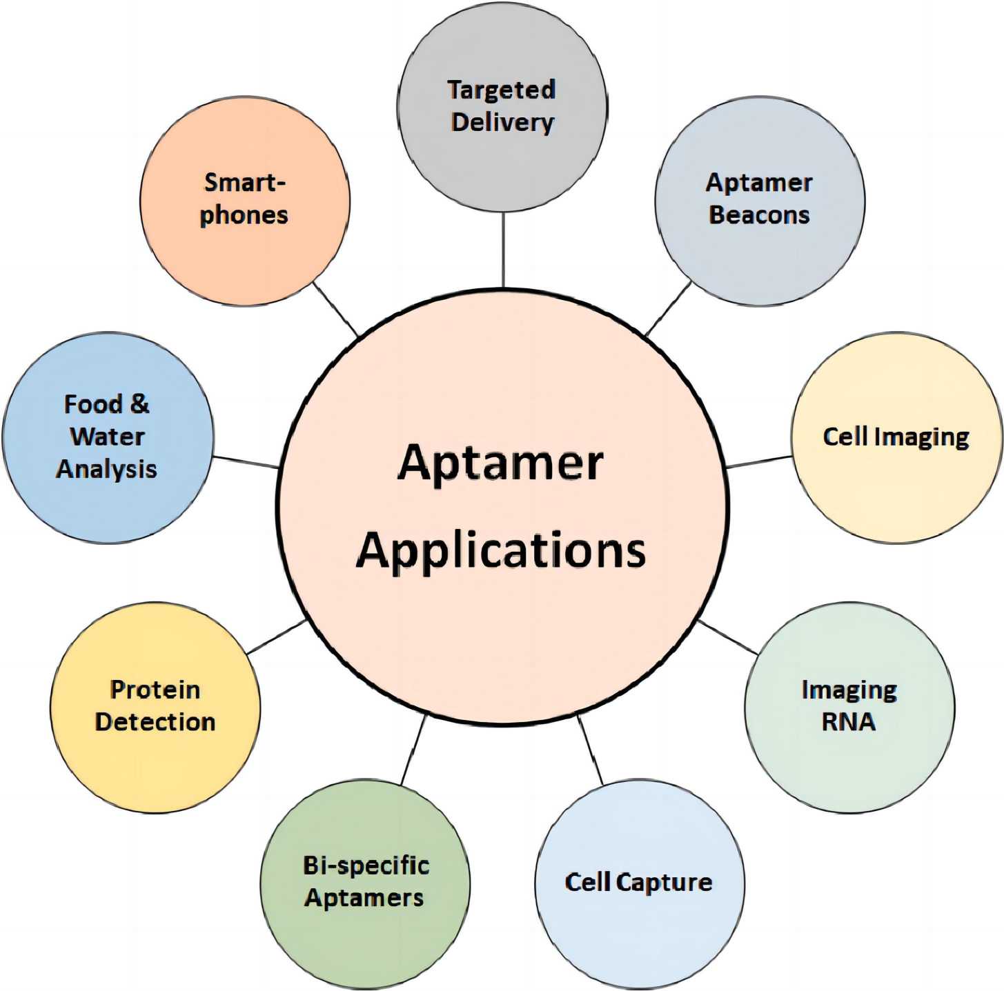 Fig. 1 Applications of aptamer. (Zon et al., 2022)