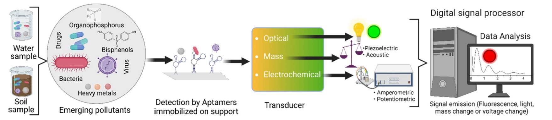 Fig. 1 A representation of the operation of an aptasensor. (Flores-Contreras et al., 2022)