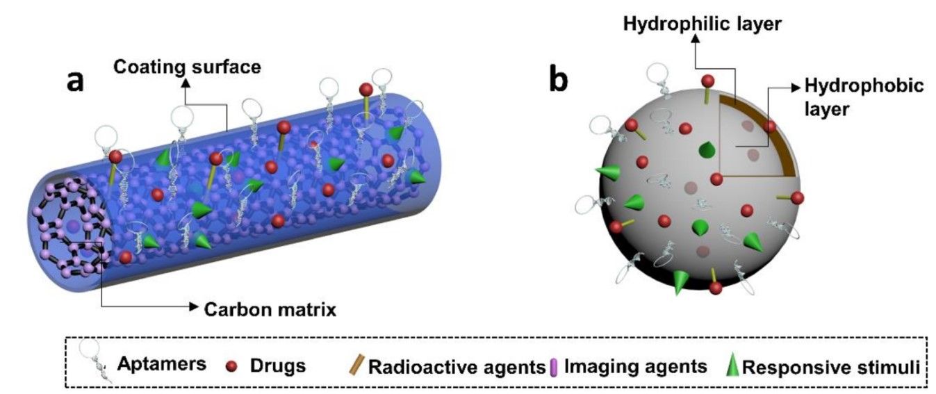 Fig. 3 Schematic illustration depicting aptamer-functionalized nanomaterials. (Liu et al., 2018)