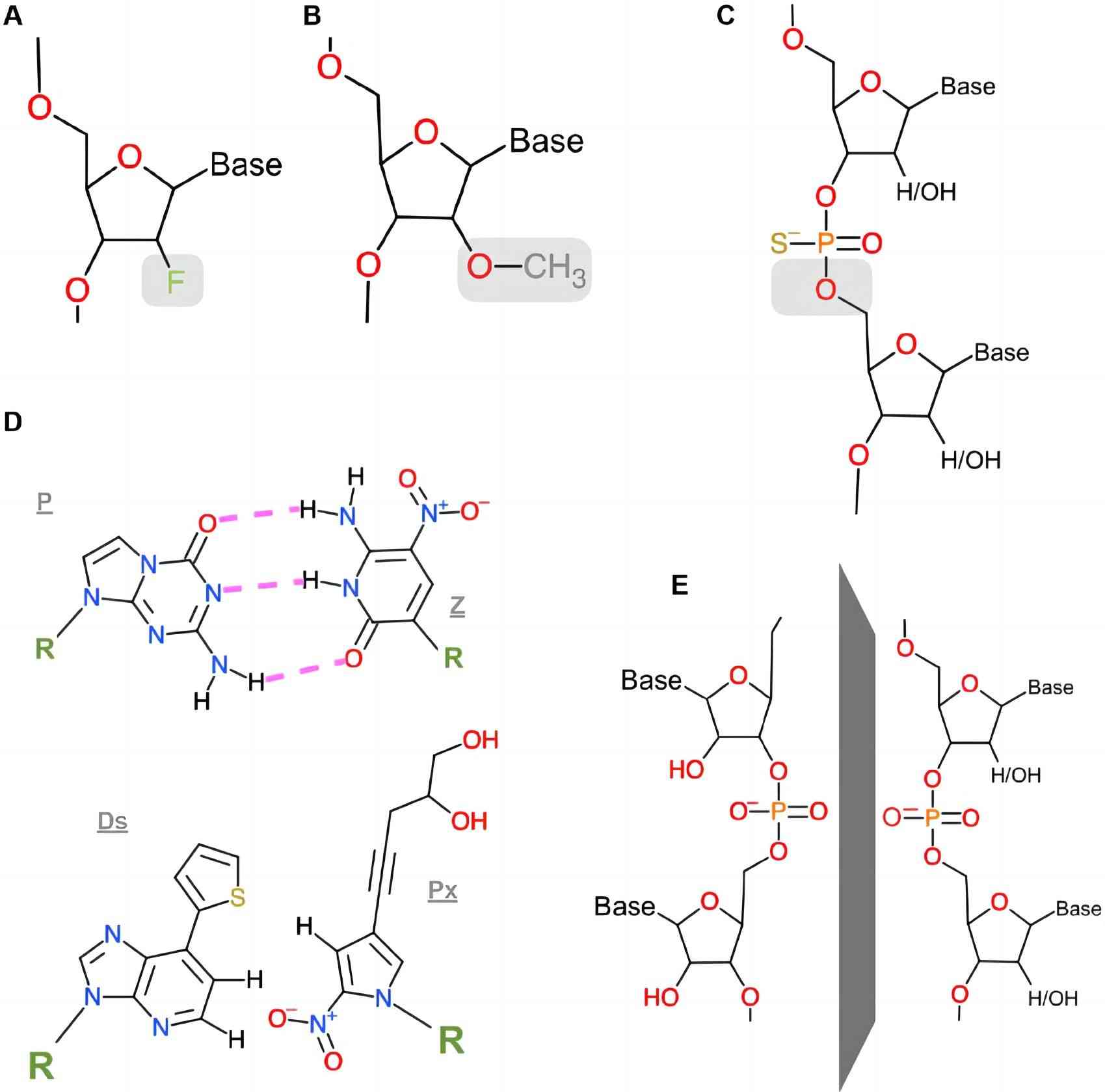 Fig. 1 Chemical modification strategies for nucleic acid aptamers. (Niederlender et al., 2021)
