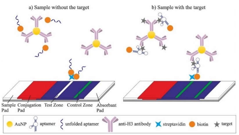 The principle of the dual recognition LFA.