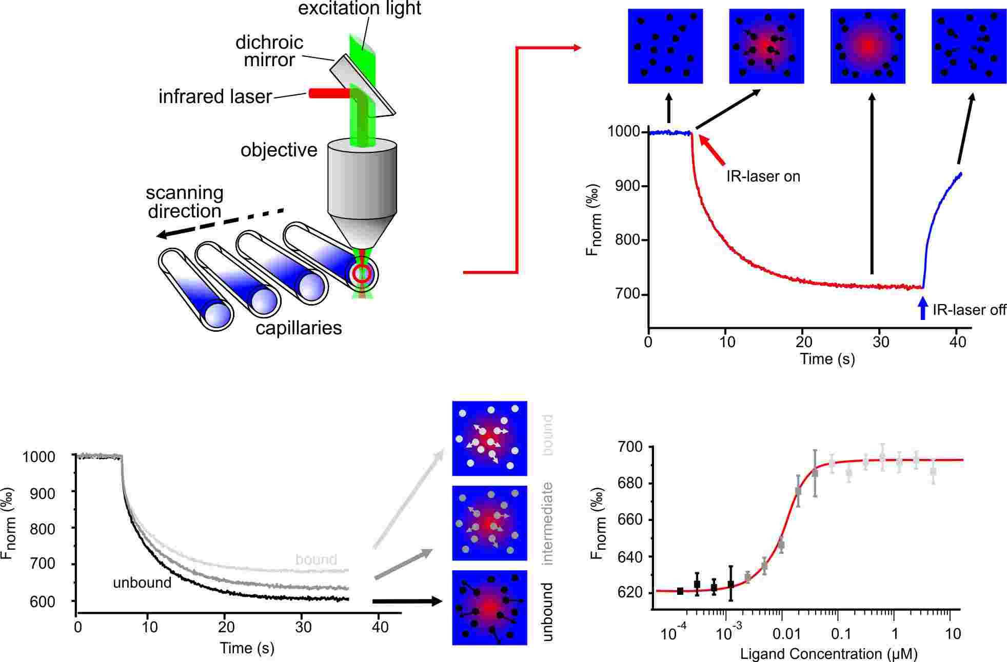 Fig. 1 Technical setup of the MST. （Jerabek-Willemsen et al., 2014)