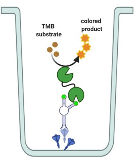 Fig.1 Direct ELONA. (Shola, et al., 2022)