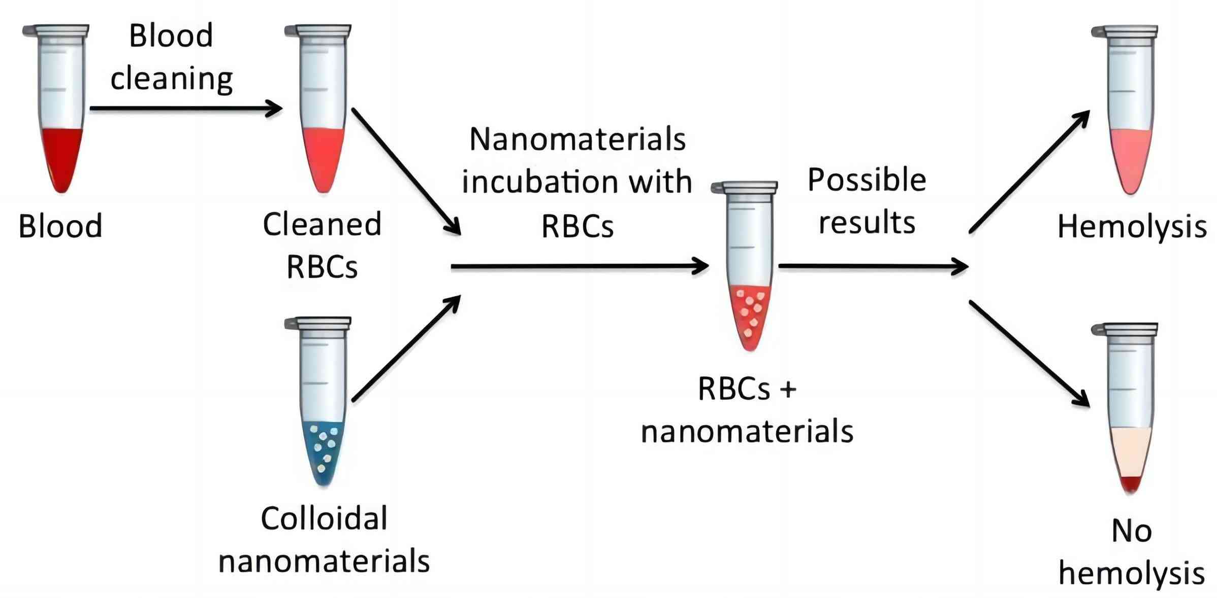 Fig. 1 Hemolysis assay process. （Fornaguera et al., 2017)