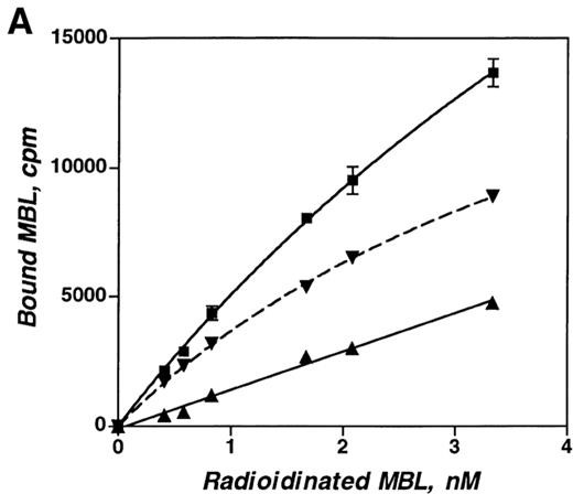 Binding of 125I-MBL to sCR1 using radioisotope labeling