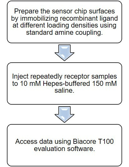 Surface plasmon resonance (SPR)