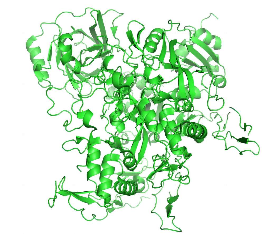 Fig. 1 Structure of human complement component C8 complex. （By SchauderCM - Own work, https://commons.wikimedia.org/wiki/File:3OJY.png)