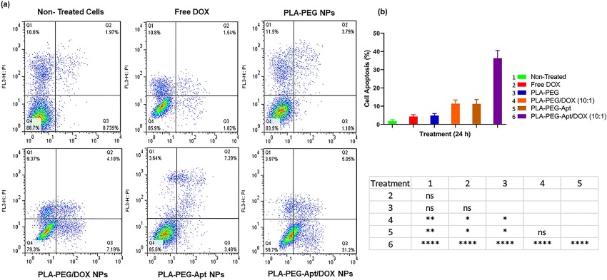 Fig. 3 Targeting lung cancer cells with MUC1 aptamer-functionalized PLA-PEG nanocarriers.