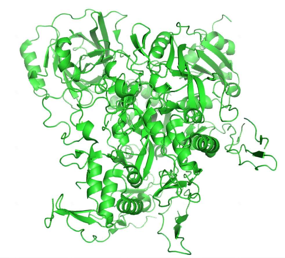 Fig. 1 3D structure of C8 complex. (By SchauderCM - Own work, https://commons.wikimedia.org/wiki/File:3OJY.png)