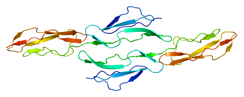Fig. 1 Schematic illustration of structure of the CD55 protein. (By Emw - Own work, CC BY-SA 3.0, https://commons.wikimedia.org/w/index.php?curid=8764174)