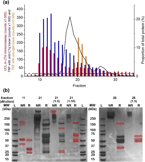 UCL signals in cTnI immunoassay of anion exchange chromatography fractions, fluorescence signals with polyclonal anti-C1q, and with anti-IgM tracers.