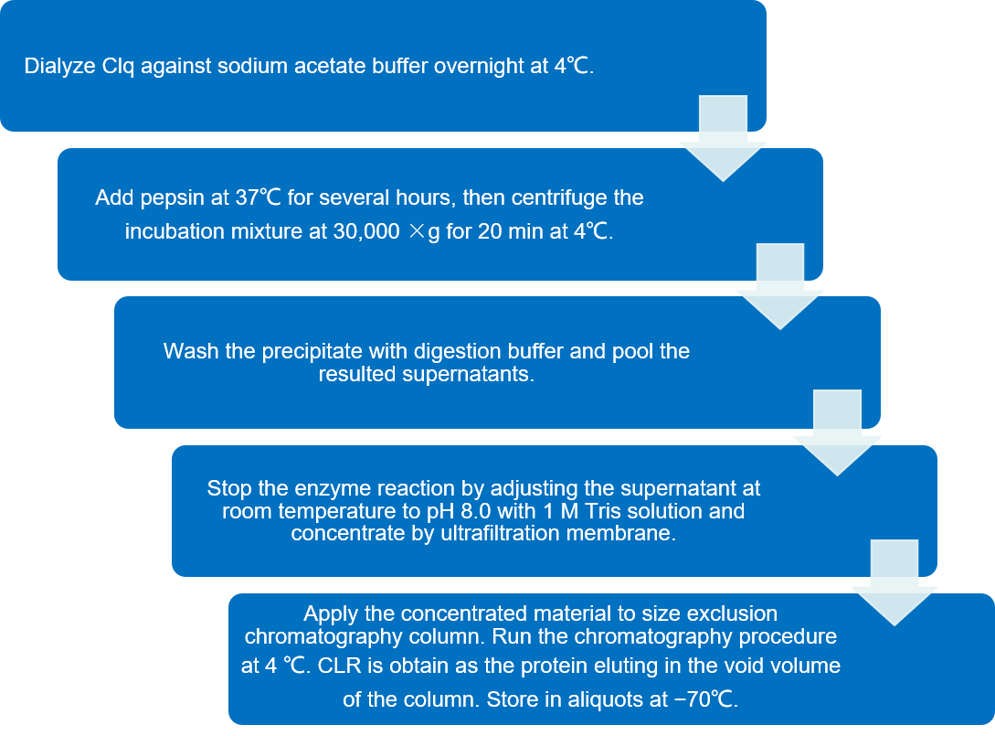 Flow chart of isolation of the CLR of C1q by Pepsin Digestion. (Creative Biolabs)