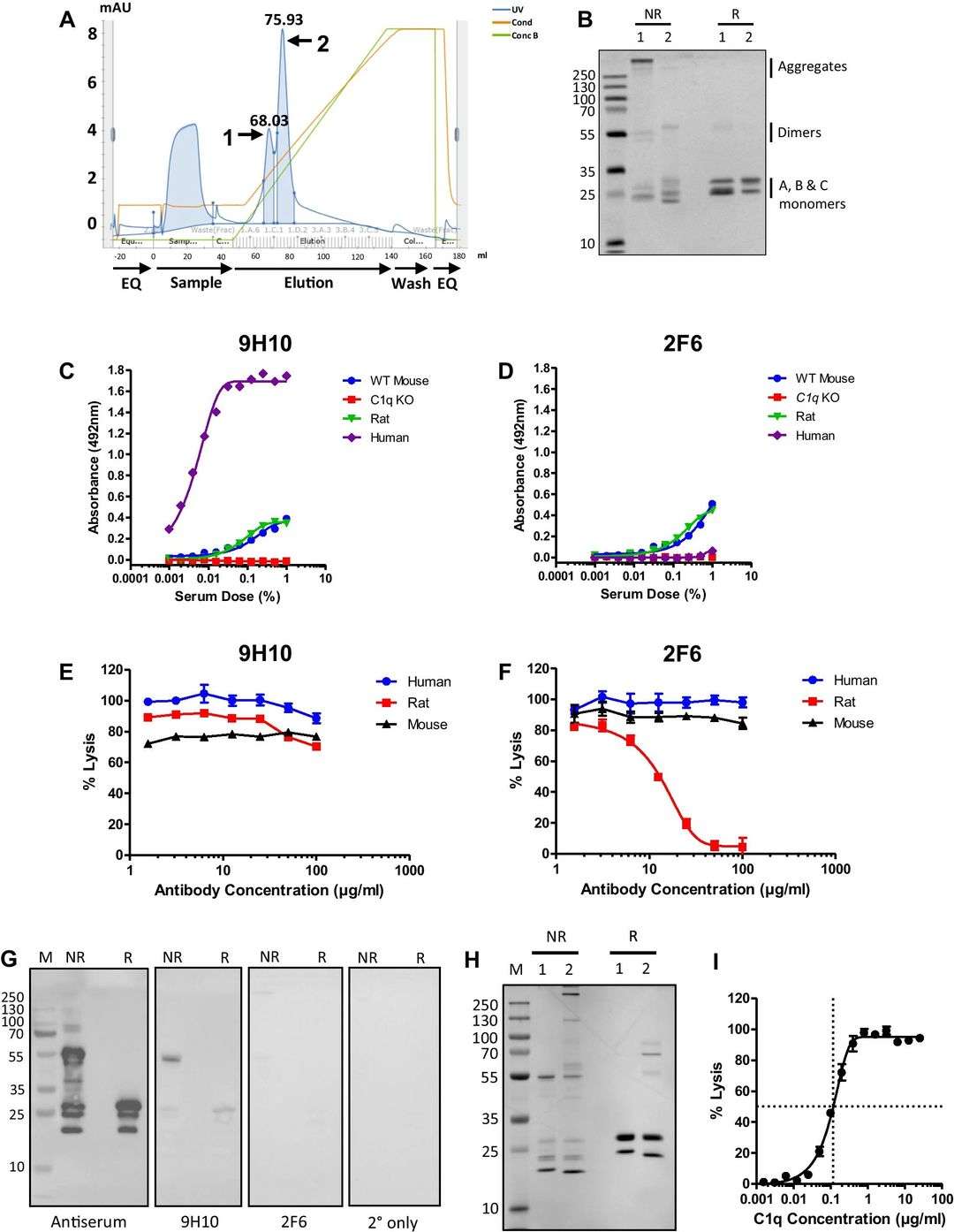 Isolation of pure mouse C1q and characterization of novel monoclonal antibodies.