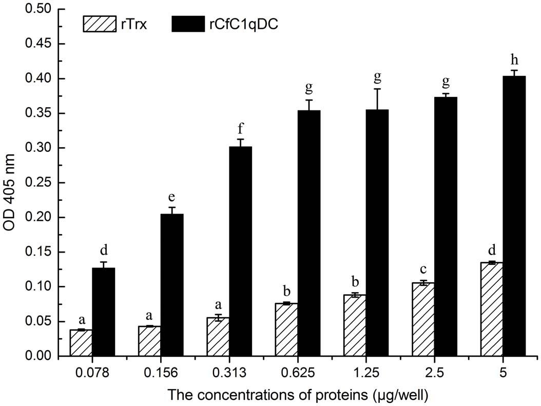  ELISA analysis of the interaction between rCfC1qDC and human heat-aggregated IgG.