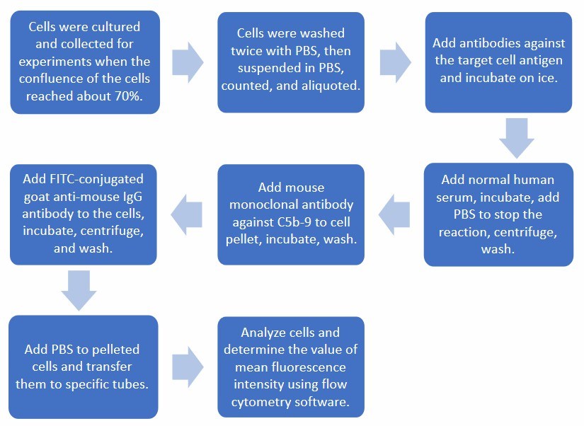 Flow chart of C5b-9 binding to cells quantification protocol. 