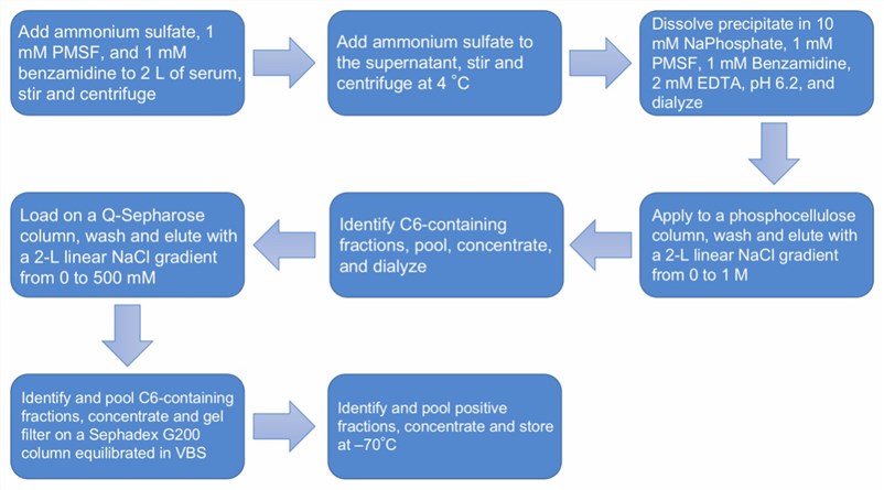 Flow chart of C6 purification protocol.