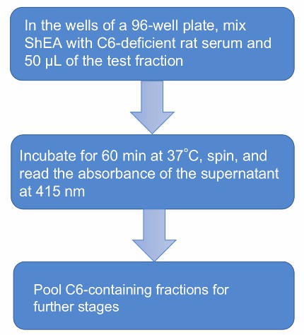 Flow chart of C6 functional assay protocol. 