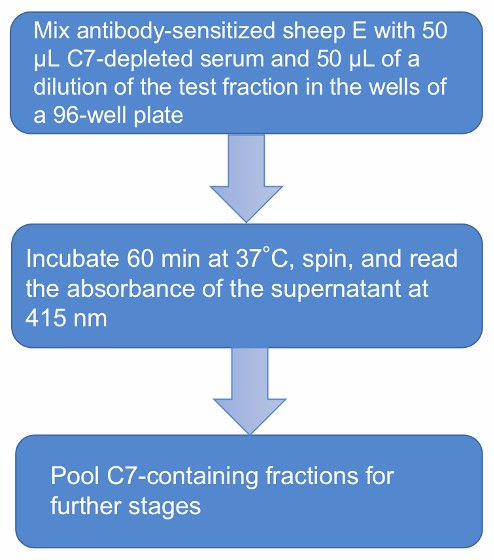 Flow chart of C7 functional assay protocol.