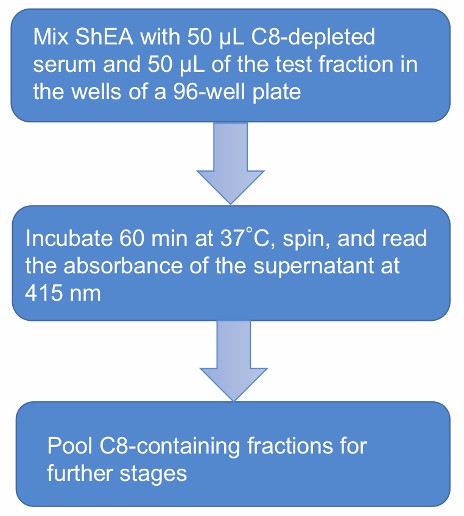 Flow chart of C8 functional assay.