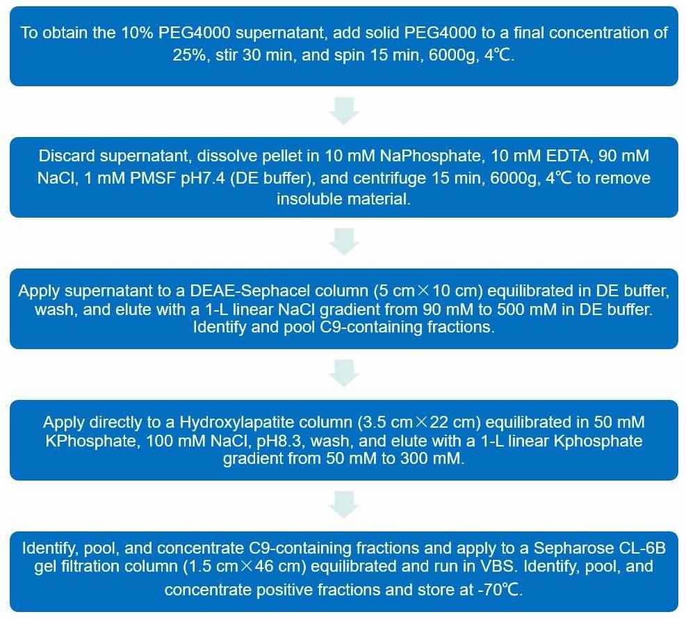 Flow chart of C9 purification protocol.