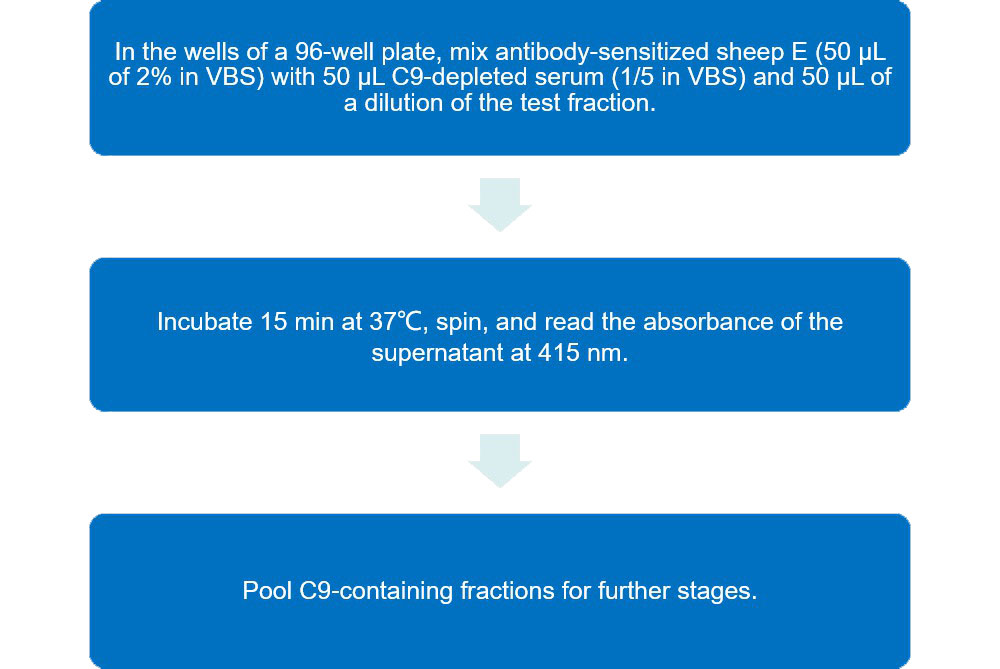 Flow chart of C9 functional assay protocol. 