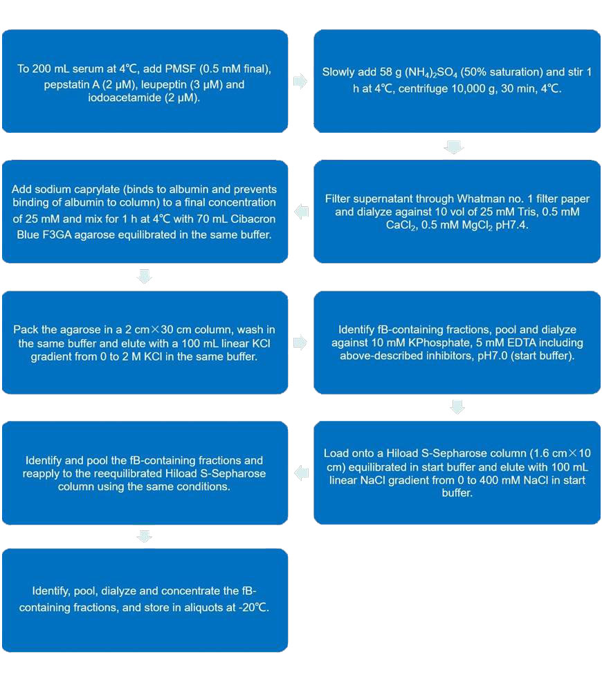 Flow chart of CFB purification protocol. 