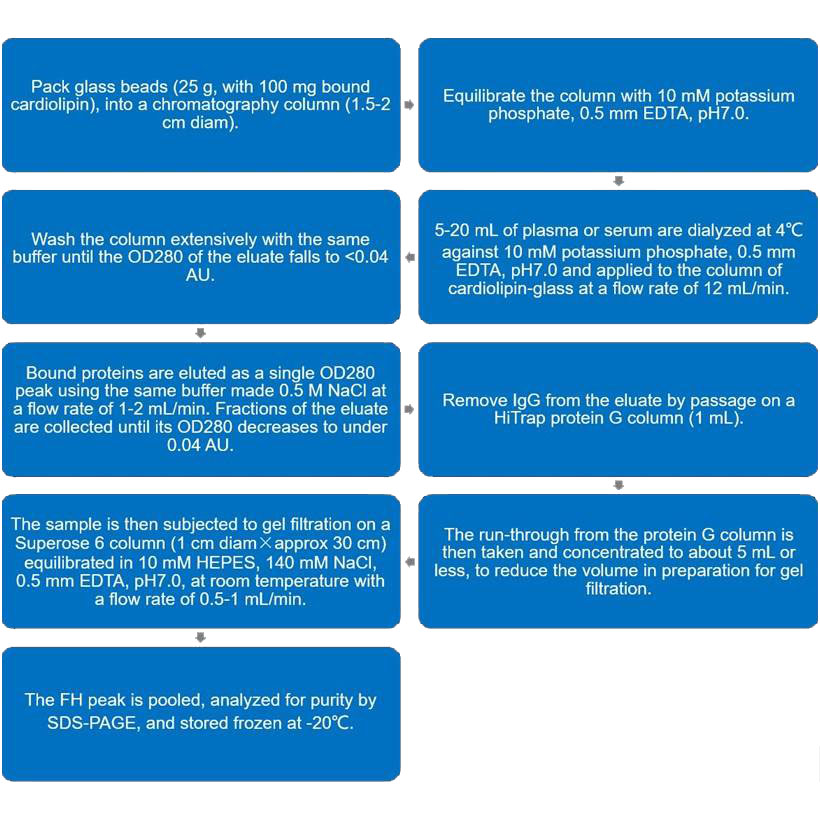 Flow chart of immobilized cardiolipin-based CFH purification protocol.