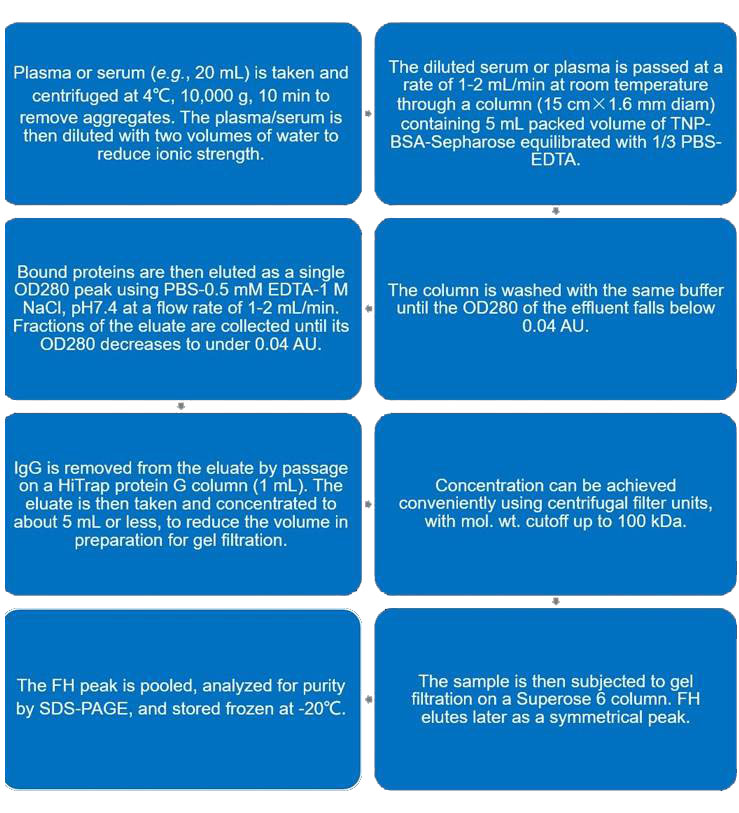 Flow chart of immobilized TNP-BSA-based CFH purification protocol.