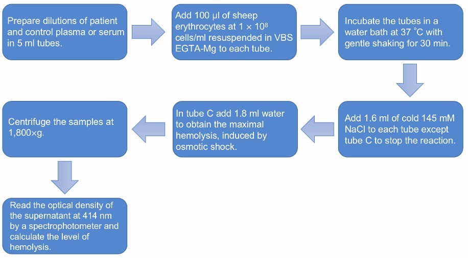 Flow chart of the CFH genetic and acquired abnormalities functional analysis protocol.