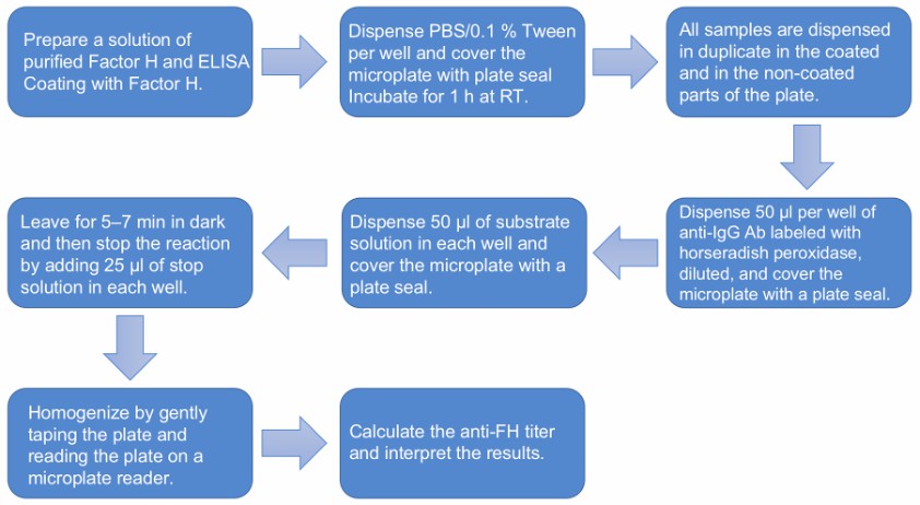 Flow chart of the anti-CFH autoantibodies assay protocol.