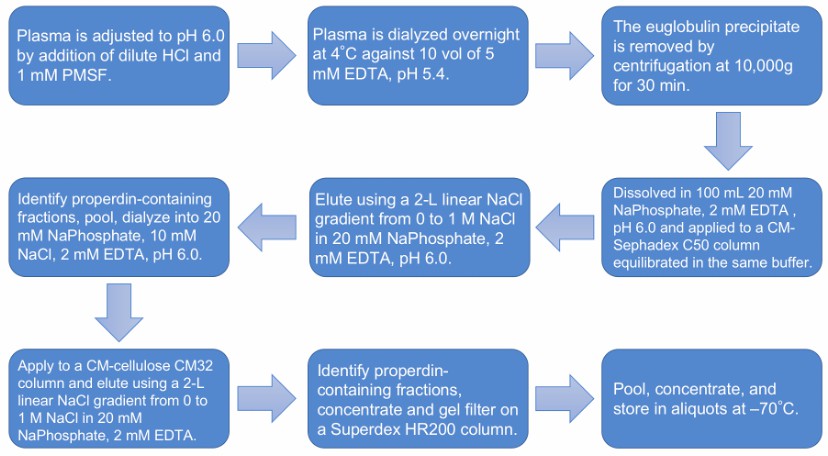 Flow chart of the human CFP purification protocol.